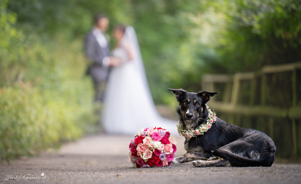 nati hochzeitsfotografie