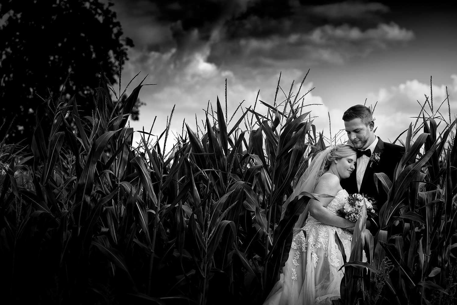 hochzeitsfotograf aachen